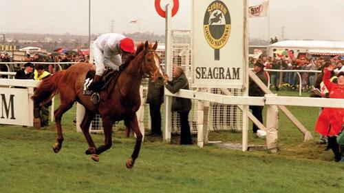 Our lives on the track: An evening with Nigel Hawke and Joe Tizzard image 1